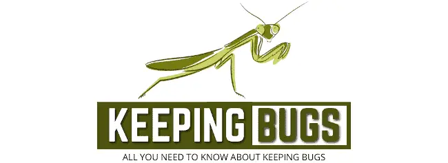 Keeping Bugs